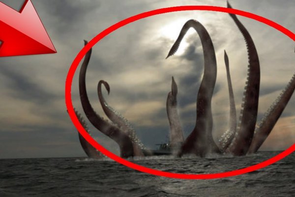 Http kraken onion
