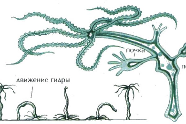 Kraken 14 at сайт