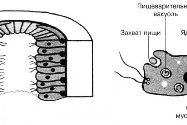 Как зайти на кракен дарк