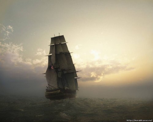 Что случилось с кракеном сайт